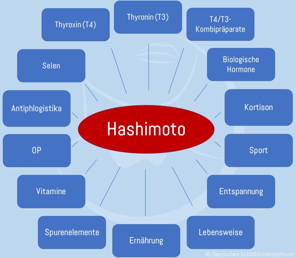 Was ist hashimoto erkrankung 
