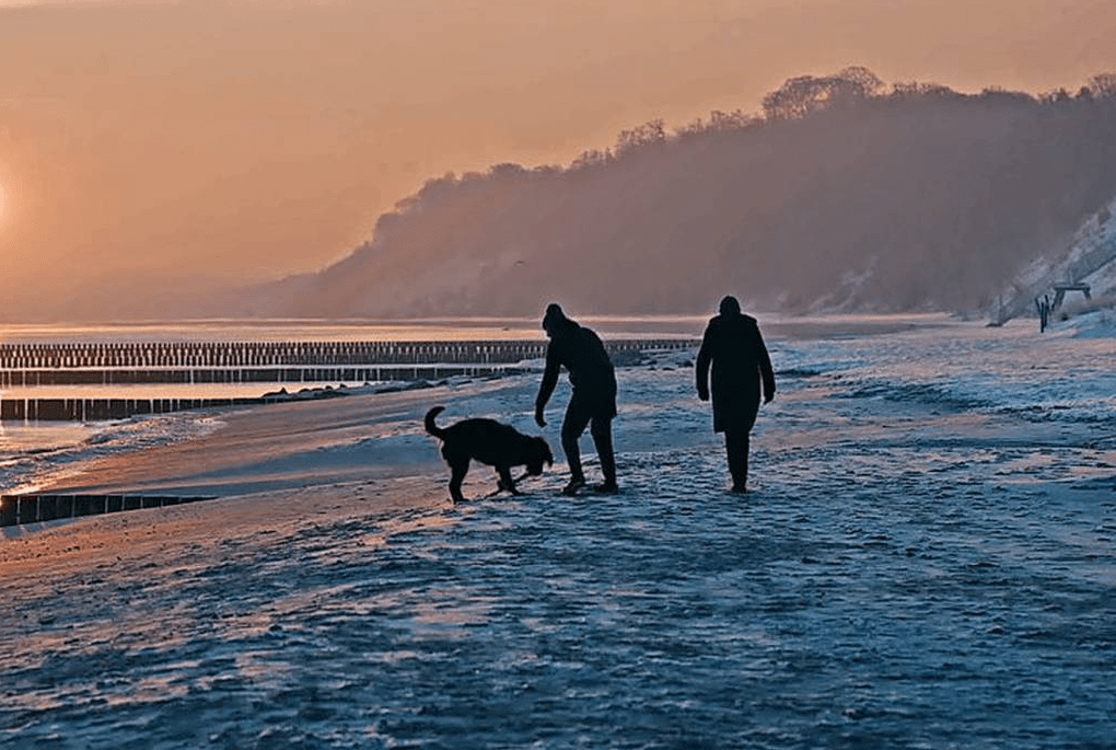 Friedhof Der Welpen Der Usedom Krimi 20