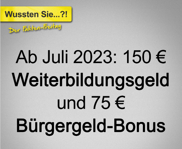 Bürgergeld Empfänger 2025