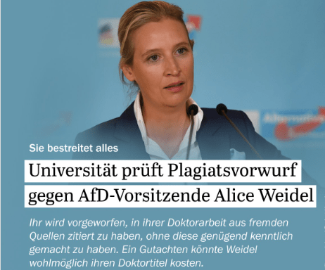 Was in Alice Weidels Doktorarbeit passiert