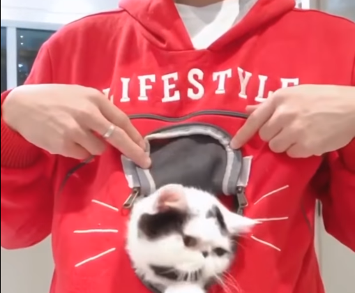 Trendiges Cat Pocket Hoodie für Tierliebhaber